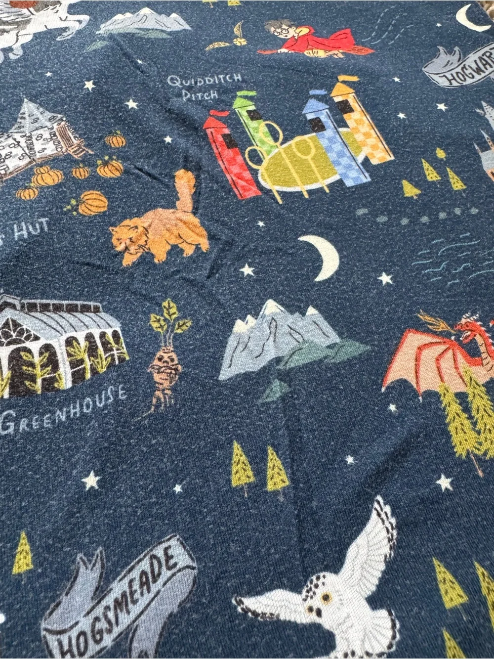 Little Sleepies Evening at Hogwarts two-piece pajama set, 4T